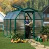 6'x6' Palram Canopia Rion EcoGrow Small Green Polycarbonate Greenhouse (1.8x1.8m) -Garden Supplies Sales Shop 702521 01